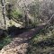 On the trail