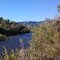 Trees , river and blue sky - Platte Canyon River, near Chatfield Lake, Colorado