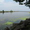 mouth of Oak Orchard Creek, Point Breeze, New York