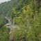 Hawk's Nest
