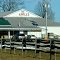 Golden Harvest Farms