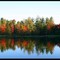 Autumn Reflection on the Beaver River near High Falls