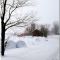 Farm in Winter