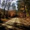 Benton Road