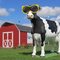 Lowville's Cow