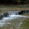 Taughannock Falls, Ulysses, NY