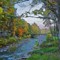 Toughannock Park
