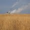 agri-industry