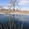 prairie mirror