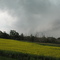 Field and storm