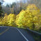 Ilion Gorge,  Ilion NY