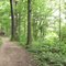 Bruce Trail
