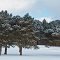 Who said it Winter !