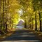 Diamond Hill Road (Autumn)