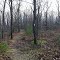 Keleher Preserve