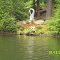  Heron on Lake Onderdonk