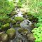 Dutton Brook