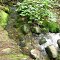 Dutton Brook