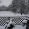 Snow Storm 6 January 2003