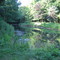 Sterling Creek at Yuhas Road