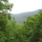 Dans les Catskills