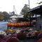 Vinnie's Pumpkin Patch