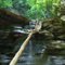 hunter falls