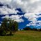 Harvest Moon Farm & Orchard