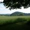 View of Fox Hill