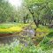 Catskill Scenic Trail
