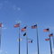 Freedom Circle flag display, Midland Beach, Staten Island [004814]