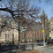 Red Hook - Visitation of the Blessed Virgin Mary Catholic Church