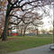 McKinley Park