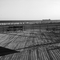 near the Coney Island Houses