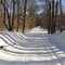 winter