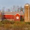 farm scene