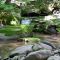 Cool Mountain Stream at Peck