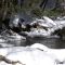 Winter Stream