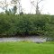 Saranac River in Riverview, NY