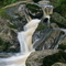 Loon Brook