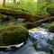 Eagle Creek