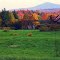 Panther Mt and abandoned barn, from Cedar River Rd, near Indian Lake, NY oct, 1987