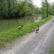 Old Erie Canal Trail - May 14, 2007