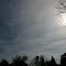 Sun, Tree, and Clouds
