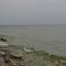Cape Vincent  - Saint Lawrence Bank