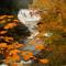 Lower Genesee Falls