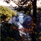 Middle Falls, Letchworth State Park, Castile, NY