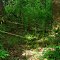 Property Line