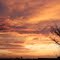 A. Natural Sunset[ Yuma] Hidden Cove