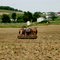 Horse drawn plow